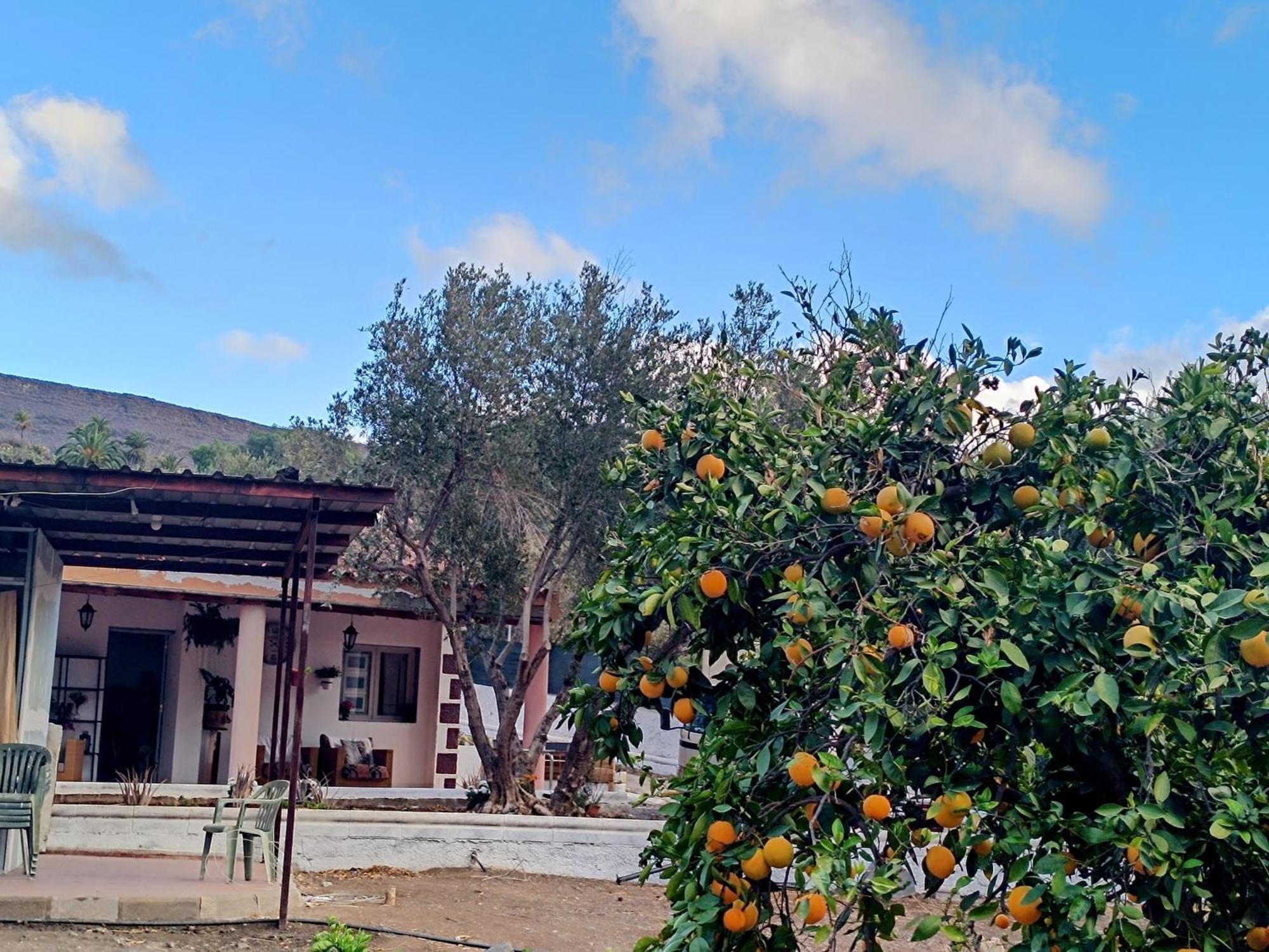 La Casa De La Pradera Villa Santa Lucia Exteriör bild